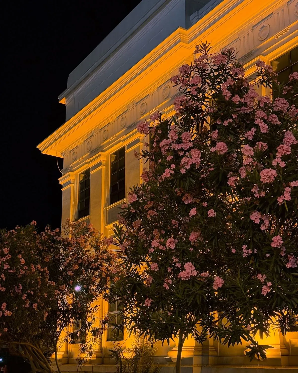 Nocturno a Managua
